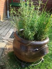 Blumen kräuterkübel pflanzk� gebraucht kaufen  Mettingen