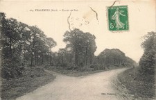 Phalempin bois d'occasion  France