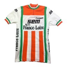 Sem loire france gebraucht kaufen  Erpel