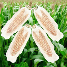 Vintage set corn for sale  Boiling Springs