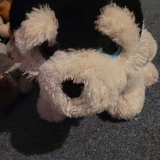 Large black dog for sale  WOKING