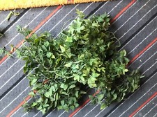 Kunststoffpflanzen kunstpflanz gebraucht kaufen  Ehingen (Donau)
