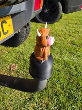 Cute highland cow for sale  WOODHALL SPA
