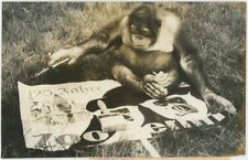 Orang outang arak d'occasion  Paris XIII