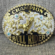 Champion bull rider for sale  Christiansburg