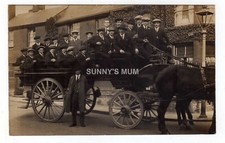 Suffolk ipswich horse for sale  NORWICH