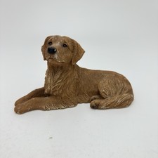 Golden retriever 375 for sale  ST. NEOTS