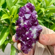 Cubo roxo transparente raro 85 g fluorita cristal mineral amostra/China comprar usado  Enviando para Brazil