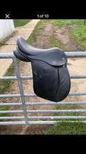 Xxw black english for sale  HUNTINGDON