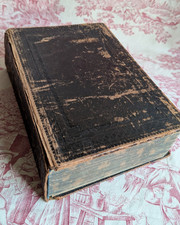 Hausbibel 1856 martin gebraucht kaufen  Hamburg