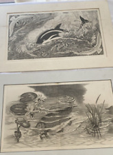 Gravures ancienne encre d'occasion  Carry-le-Rouet