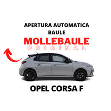 Mollebaule kit molle usato Mollebaule kit molle usato  Mira