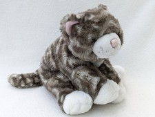 Keel kayla cat for sale  BEDFORD