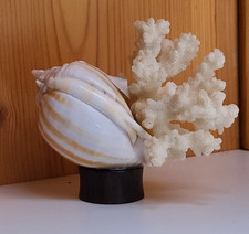Handmade small shell d'occasion  Expédié en Belgium