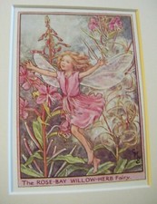 Vtg flower fairies for sale  TELFORD