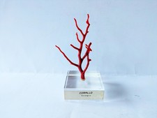 ramo corallo rosso usato ramo corallo rosso usato Arona