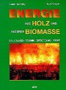 Energie holz anderer gebraucht kaufen  Berlin