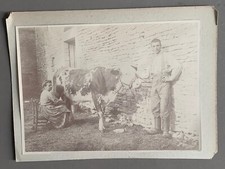 Photo agriculture dairy d'occasion  Expédié en Belgium