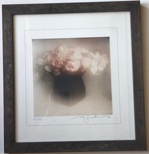 David hamilton rare d'occasion  Louhans