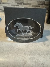 Anheuser busch clydesdale for sale  Bellevue