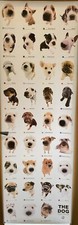 Dog breed puppies for sale  ENNISKILLEN