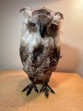Realistic standing bird for sale  Saint Louis