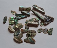 abalone shell pieces for sale abalone shell pieces for sale LONDON