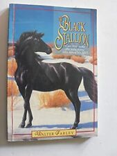 Black stallion for sale  ROSSENDALE