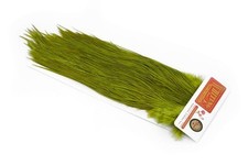 Whiting farms rooster d'occasion  Romans-sur-Isère