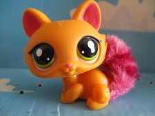 Petshop cat sphynx d'occasion  Expédié en Belgium
