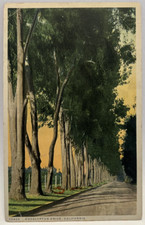 Eucalyptus drive california d'occasion  Expédié en Belgium
