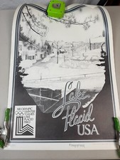Lake placid usa for sale  Milford
