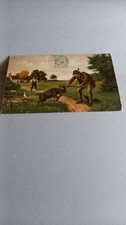 Old postcard hunting. d'occasion  Expédié en Belgium
