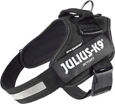 Julius powergeschirr 1 gebraucht kaufen  Langerwehe