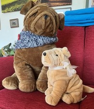 Extra large sharpei for sale  WIMBORNE