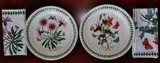 portmeirion gebraucht kaufen  Paderborn
