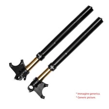 Ducati 959 panigale usato Ducati 959 panigale usato  Rimini