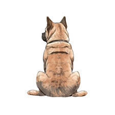 Autocollants voiture akita d'occasion Autocollants voiture akita d'occasion  Expédié en France