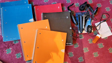 Livescribe notebooks two for sale  Paron