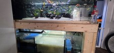 Cichlid tank sump for sale  GRIMSBY