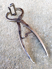 Ancienne pince castration d'occasion  Morlaàs