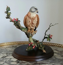 Country artists kestrel for sale  COVENTRY
