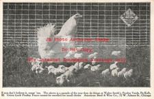 Advertising postcard american for sale  USA