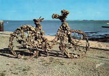 Chateau oleron ile d'occasion  France