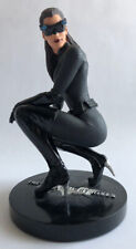 Catwoman the dark gebraucht kaufen  Burscheid