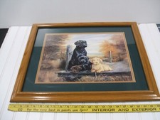 ruane manning for sale ruane manning for sale Nekoosa