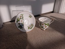 Royal windsor dogwood for sale Royal windsor dogwood for sale  HOLSWORTHY