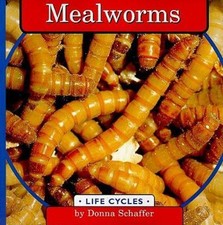 Mealworms schaffer donna for sale  Aurora