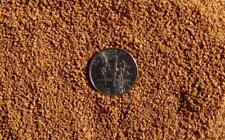 Lbs fine grit for sale  Elkins