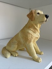 labrador retriever for sale labrador retriever for sale BIRMINGHAM